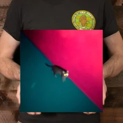 !!! (Chk Chk Chk) - Wallop 2xLP Vinyl Record (Pink & Green Coloured Vinyl)