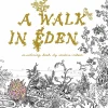 A Walk in Eden: A Colouring Book by Anders Nilsen Paperback Book