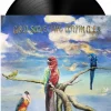 Alex G - God Save the Animals LP Vinyl Record