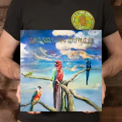 Alex G - God Save the Animals LP Vinyl Record