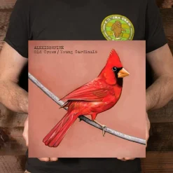 Alexisonfire - Old Crows / Young Cardinals 2xLP Vinyl Record