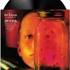 Alice In Chains - Jar Of Flies LP Vinyl Record