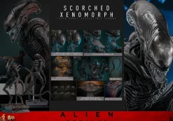 Alien: Romulus (2024) - Scorched Xenomorph 1/6th Scale Hot Toys Action Figure