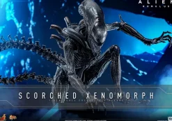 Alien: Romulus (2024) - Scorched Xenomorph 1/6th Scale Hot Toys Action Figure