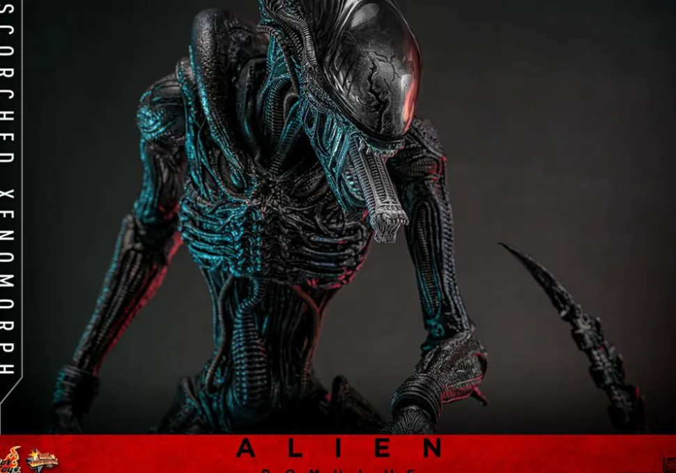 Alien: Romulus (2024) - Scorched Xenomorph 1/6th Scale Hot Toys Action Figure