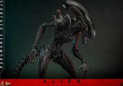 Alien: Romulus (2024) - Scorched Xenomorph 1/6th Scale Hot Toys Action Figure