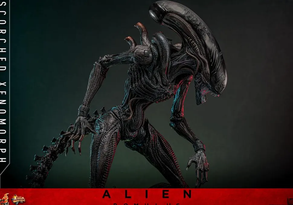 Alien: Romulus (2024) - Scorched Xenomorph 1/6th Scale Hot Toys Action Figure