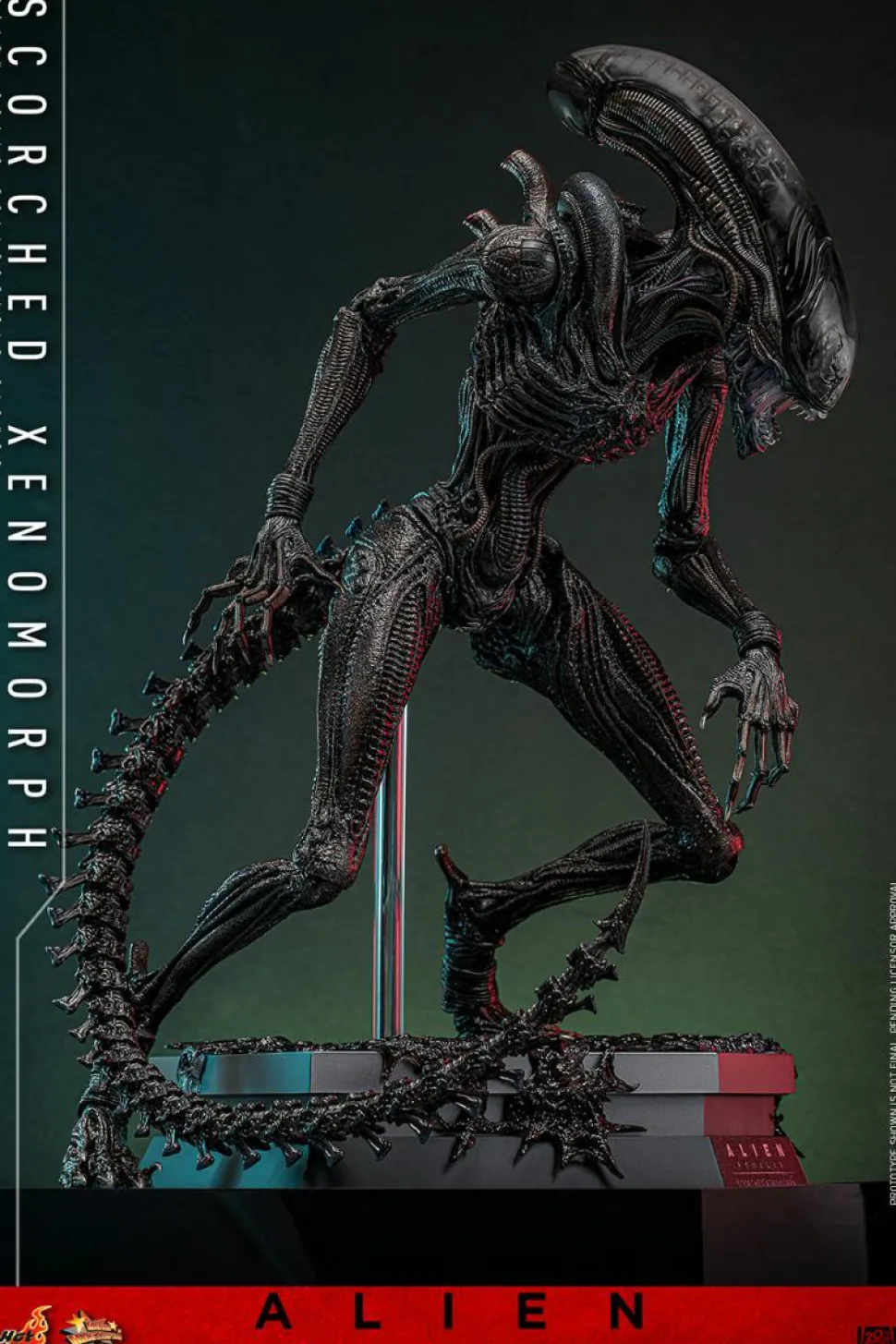 Alien: Romulus (2024) - Scorched Xenomorph 1/6th Scale Hot Toys Action Figure