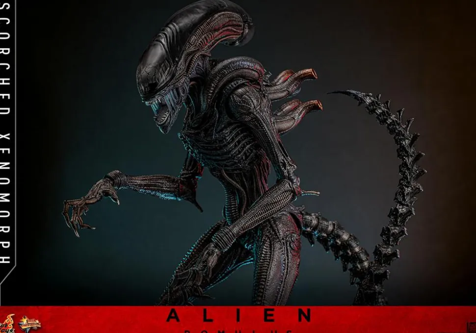 Alien: Romulus (2024) - Scorched Xenomorph 1/6th Scale Hot Toys Action Figure