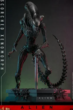 Alien: Romulus (2024) - Scorched Xenomorph 1/6th Scale Hot Toys Action Figure