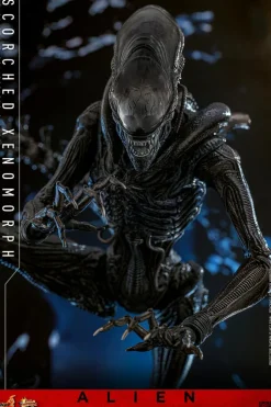 Alien: Romulus (2024) - Scorched Xenomorph 1/6th Scale Hot Toys Action Figure