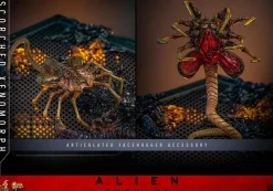 Alien: Romulus (2024) - Scorched Xenomorph 1/6th Scale Hot Toys Action Figure