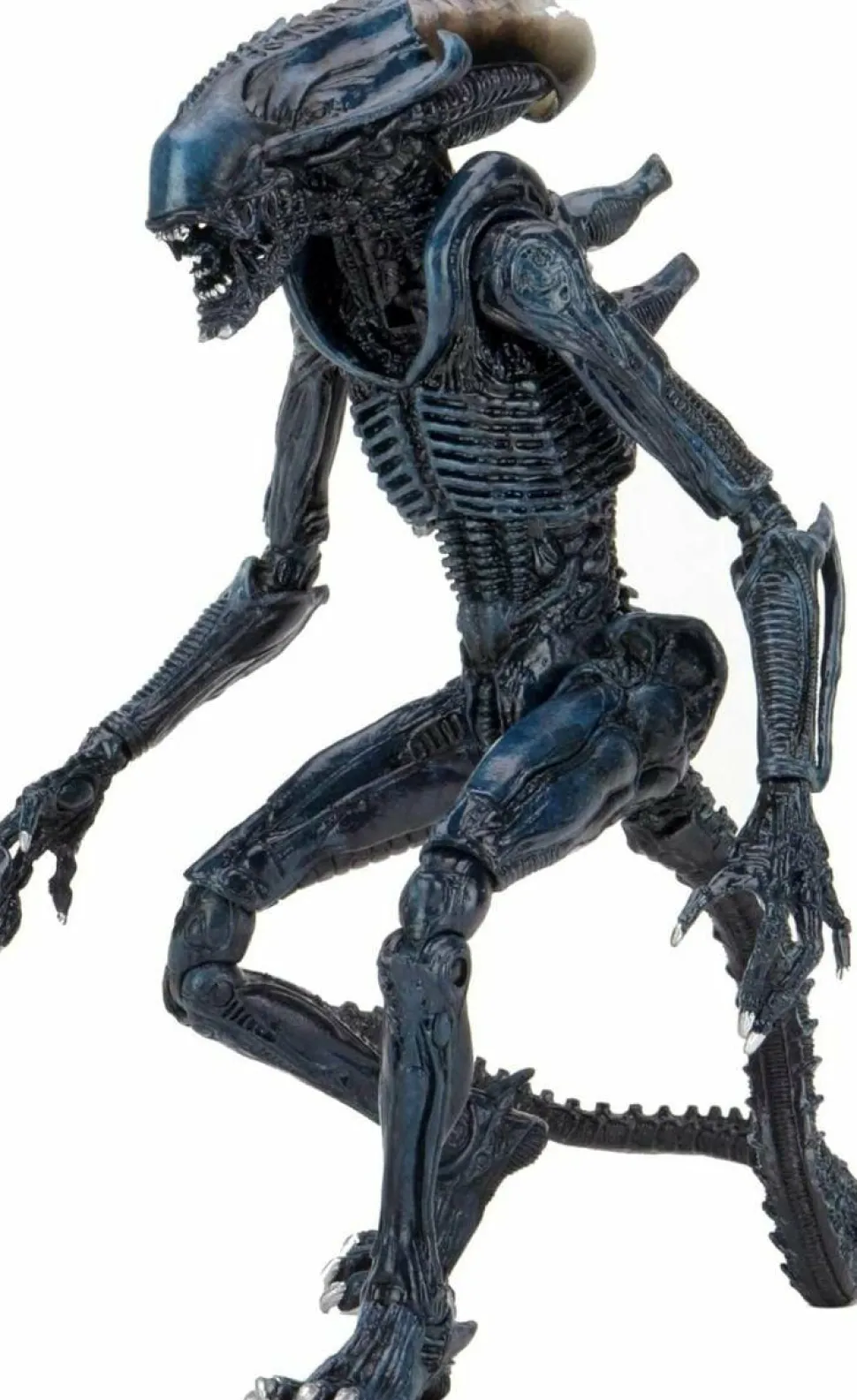 Aliens - Arachnoid Alien 7" Scale Action Figure