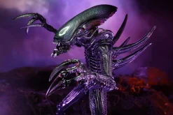 Aliens - Razor Claws Alien 7