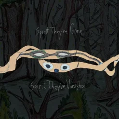 Animal Collective - Spirit They're Gone, Spirit They're Vanished 2xLP Vinyl Record