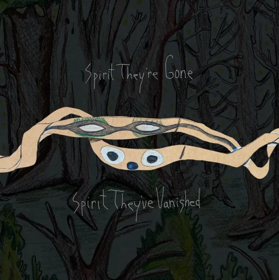 Animal Collective - Spirit They're Gone, Spirit They're Vanished 2xLP Vinyl Record