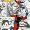 Ant-Man and the Wasp - Colour Your Own Ant-Man and the Wasp Paperback