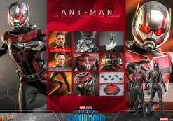 Ant-Man and the Wasp: Quantumania - Ant-Man 1/6th Scale Hot Toys Action Figure