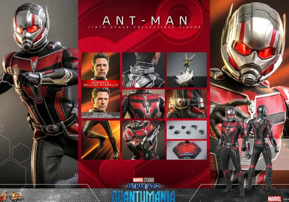 Ant-Man and the Wasp: Quantumania - Ant-Man 1/6th Scale Hot Toys Action Figure