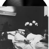 Antony and the Johnsons ‎- I Am A Bird Now LP Vinyl Record