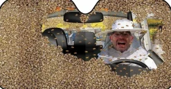 Archie McPhee - Car Full of Bees Car Sunshade