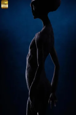 Art of Steve Wang - Reptilian Grey 1/3 Scale Maquette Statue