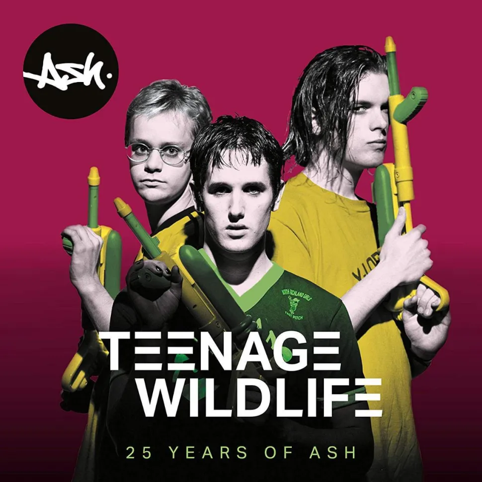 Ash - Teenage Wildlife: 25 Years Of Ash 2xLP Vinyl Record