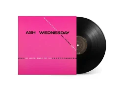 Ash Wednesday & Friends - Love And Other Numbers 1980-1984 LP Vinyl Record