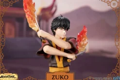 Avatar: The Last Airbender - Zuko 12