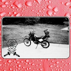 Bass Drum Of Death - Say I Won't LP Vinyl Record
