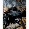 Batman - Batman #700 Fine Art Print by David Finch