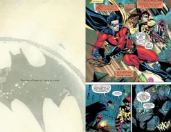 Batman - Battle for the Cowl: The Complete Collection Trade Paperback Book