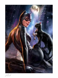 Batman - Catwoman: Girl’s Best Friend Fine Art Print by Ian MacDonald