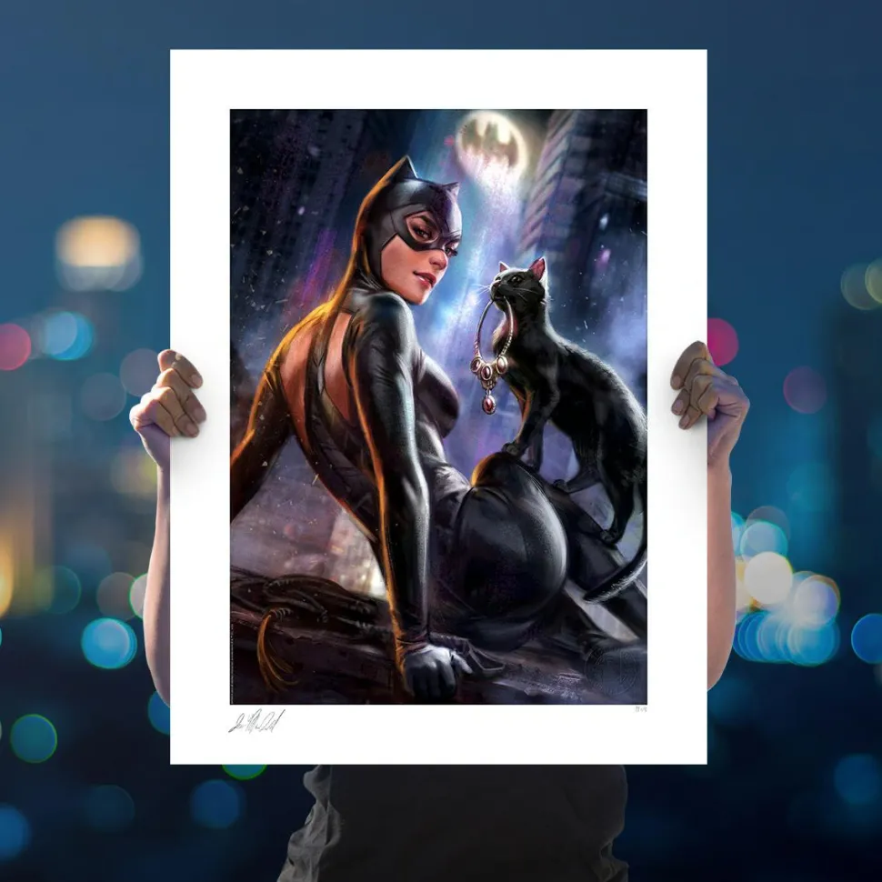 Batman - Catwoman: Girl’s Best Friend Fine Art Print by Ian MacDonald