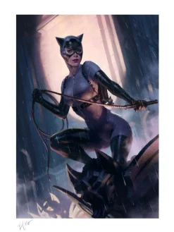Batman - Catwoman Variant Fine Art Print by Heonhwa Choe