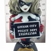 Batman - Harley Quinn Mugshot 6.5” Bust