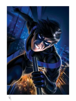 Batman - Nightwing Fine Art Print by Warren Louw