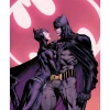 Batman - The Bat and the Cat Fine Art Print by David Finch