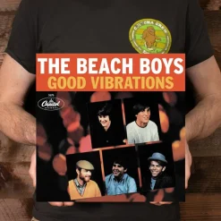 Beach Boys - Good Vibrations 50th Anniversary 12