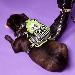 Beetlejuice - Cosplay Mini Backpack Dog Harness (Small)