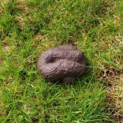 BigMouth Inc. - Buster's Dog Poop Hide-A-Key