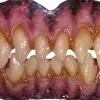 Bitemares - Wolf Horror Teeth Costume Accessory