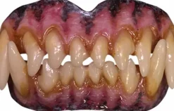 Bitemares - Wolf Horror Teeth Costume Accessory