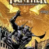 Black Panther - Black Panther by Christopher Priest Omnibus Volume 01 Hardcover Book (DM Variant Cover)