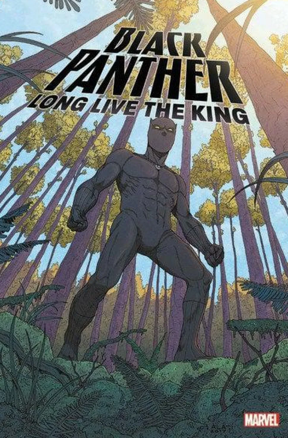 Black Panther - Long Live the King Trade Paperback