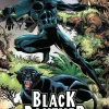 Black Panther - Panther’s Quest Trade Paperback