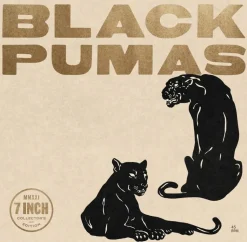 Black Pumas - Black Pumas Collector's Edition Deluxe 7” Single Vinyl Record Box Set (2022 Record Store Day Exclusive)
