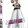 Bleach - Collection 11 DVD
