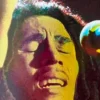 Bob Marley - Primitive x Bob Marley Stand Up 8.125" Skateboard Deck (Deck Only)
