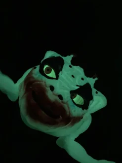 Boglins - Dark Lord Crazy Clown 8” Hand Puppet